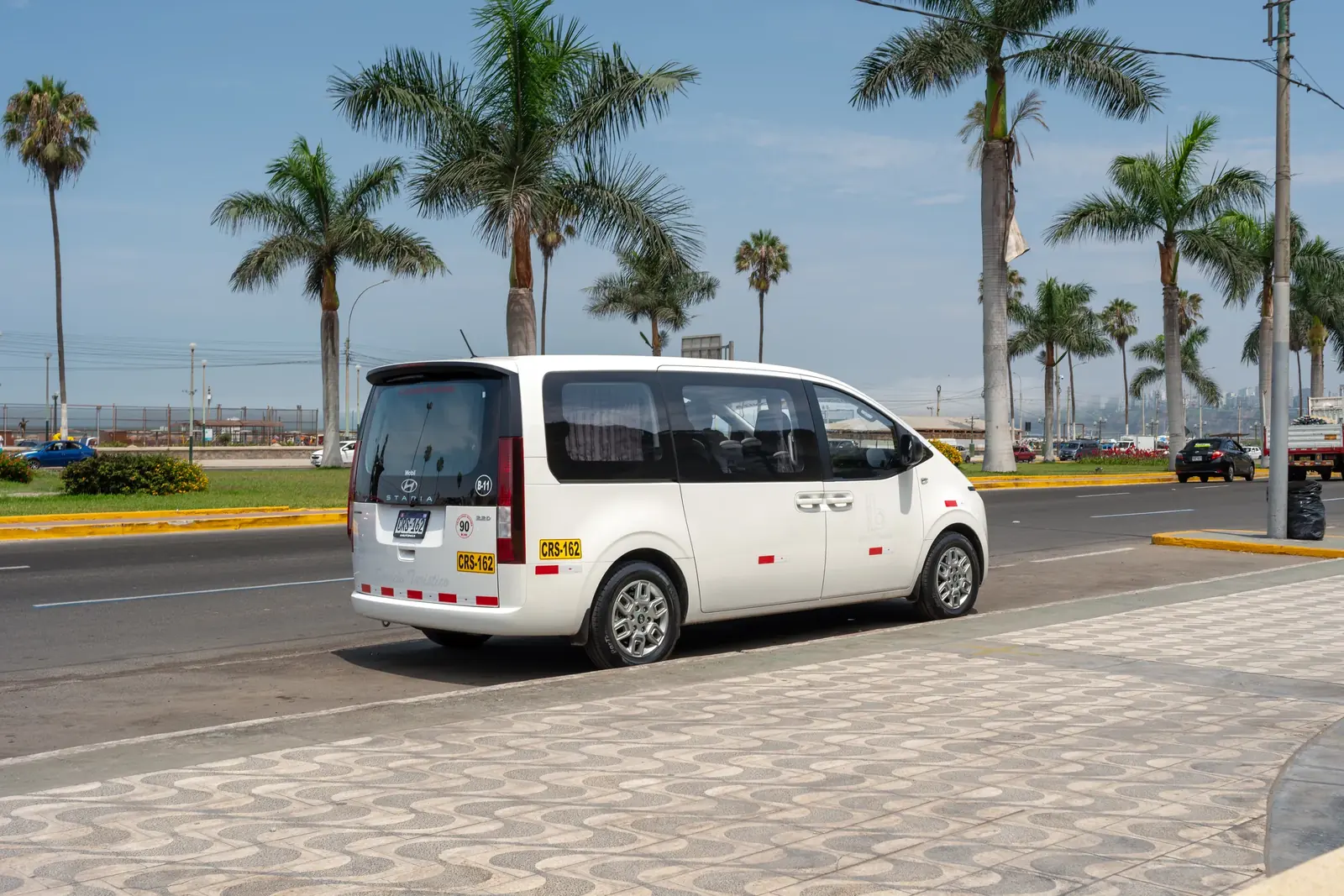Van Suisper junto a una avenida con palmeras cerca del mar